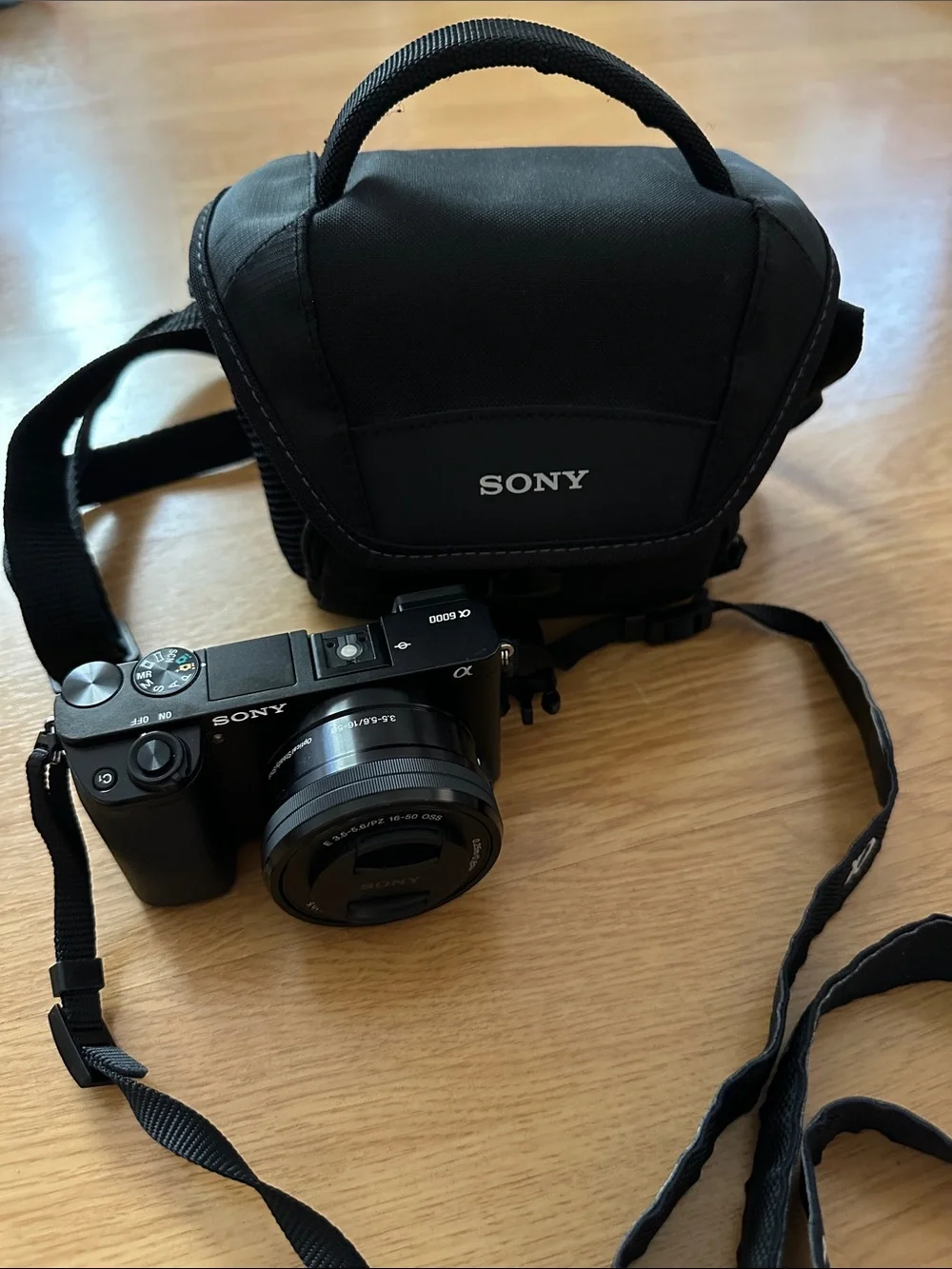 Sony Black Alpha6000 Mirrorless Camera with Black Sony Carry Case
